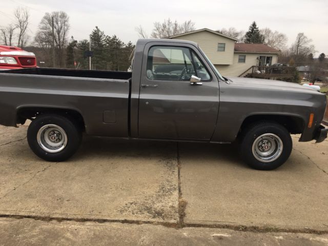 1977 Gray Chevrolet C-10