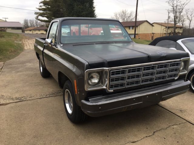 1977 Gray Chevrolet C-10
