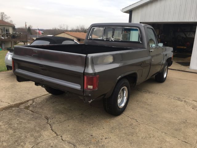 1977 Gray Chevrolet C-10