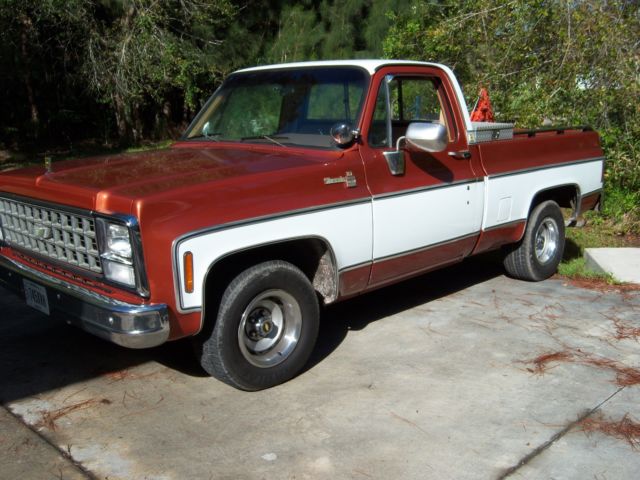 1980 Brown Chevrolet C-10 Standard Cab Pickup