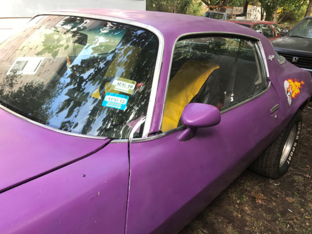 1978 Purple Chevrolet Camaro Coupe