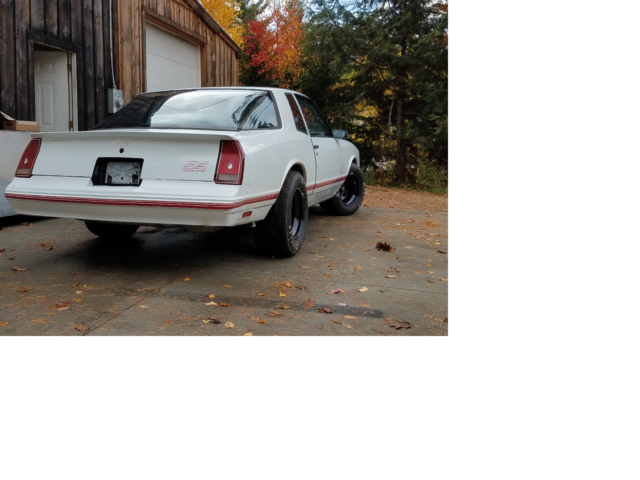 1987 WHITE Chevrolet Monte Carlo