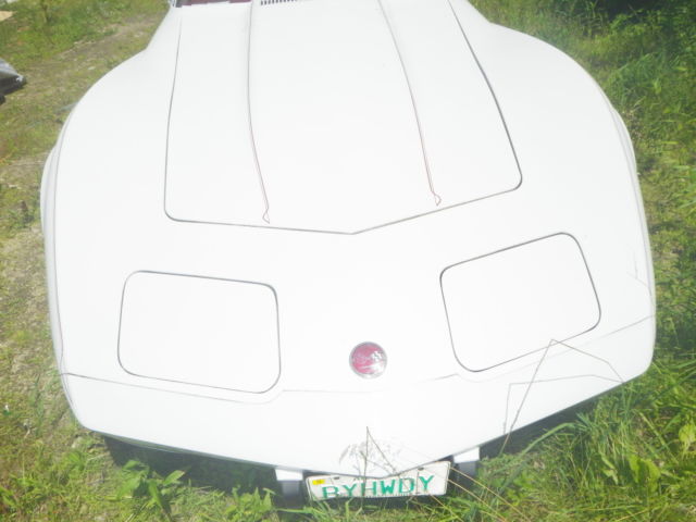 19760000 White with red pinstripes Chevrolet Corvette Coupe