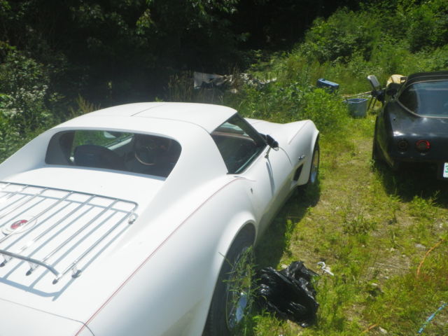 19760000 White with red pinstripes Chevrolet Corvette Coupe