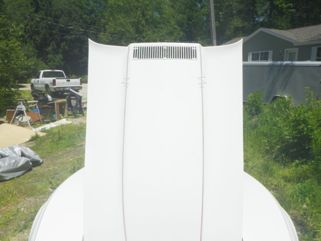 19760000 White with red pinstripes Chevrolet Corvette Coupe