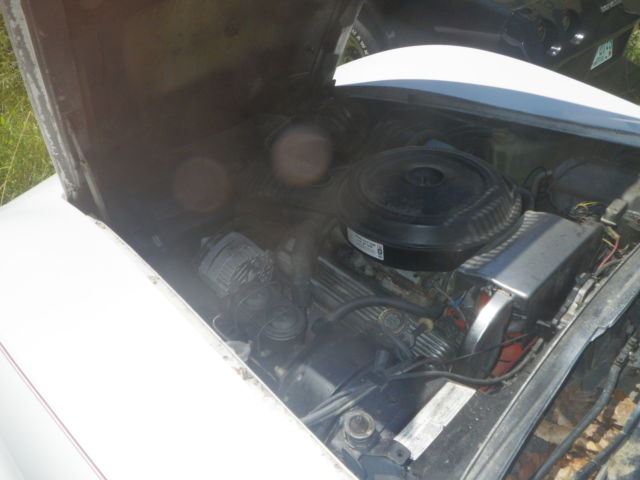 19760000 White with red pinstripes Chevrolet Corvette Coupe