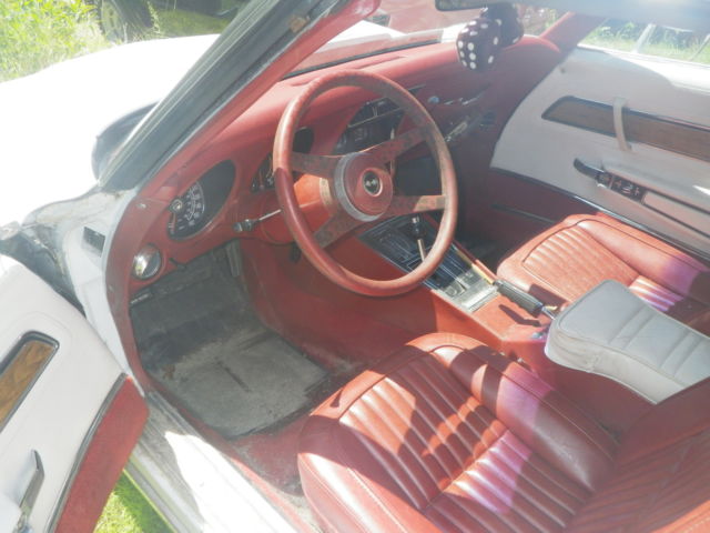 19760000 White with red pinstripes Chevrolet Corvette Coupe