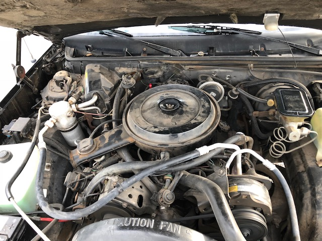 1986 Black Chevrolet El Camino Pickup Truck