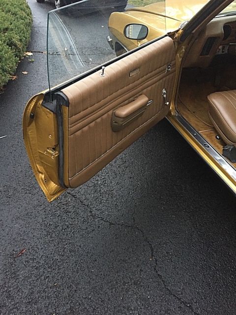 1971 gold Pontiac Le Mans Coupe