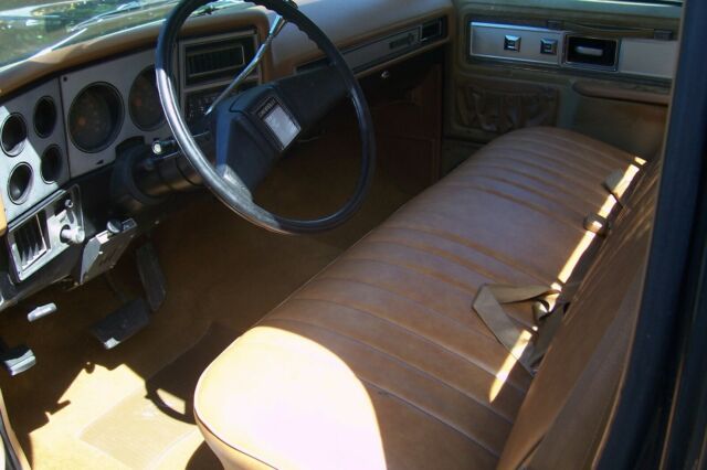 1979 Black Chevrolet C-10