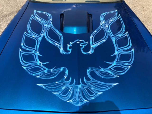 1978 Blue Metallic Pontiac Firebird