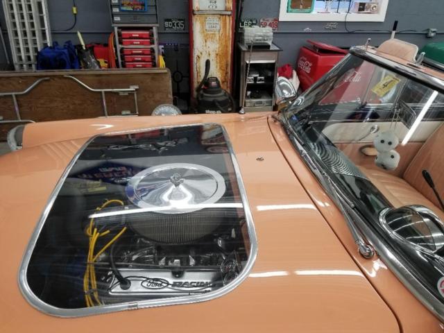 1954 Cameo Coral Ford Other Convertible