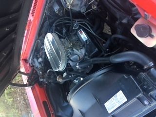 1976 Red Buick Skylark Coupe