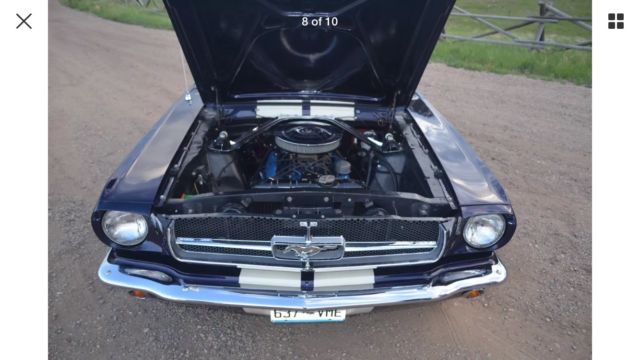 1965 Amethyst Pearl Ford Mustang Fastback