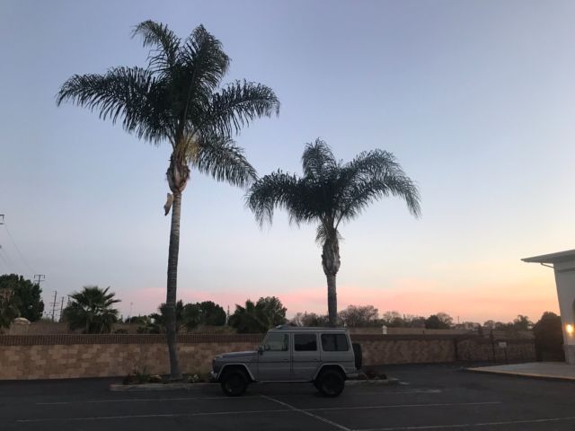1981 Designo Matte Silver Mercedes-Benz G-Class SUV