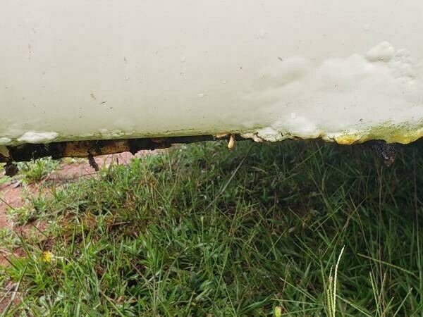 1964 Ford Falcon Coupe