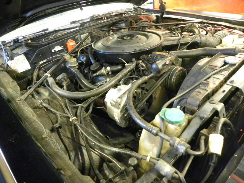 1979 Black and Gray Chrysler Cordoba Hardtop