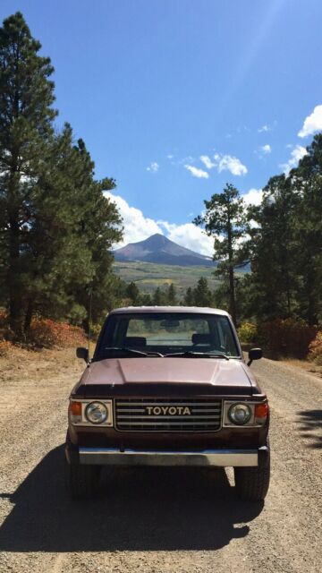 1982 Brown Toyota Land Cruiser SUV