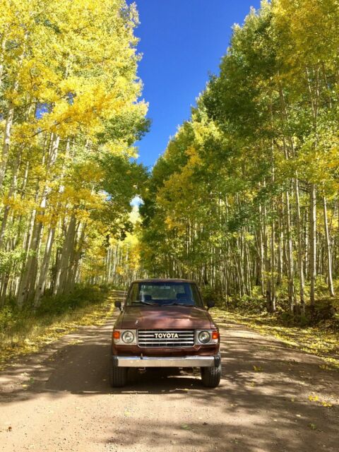 1982 Brown Toyota Land Cruiser SUV