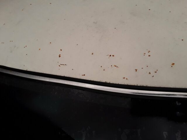 1989 White Toyota Other Standard Cab Pickup