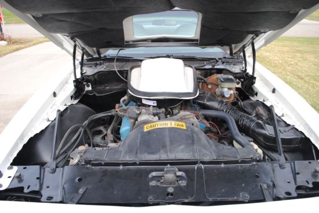 1981 Pontiac Firebird Coupe 2D