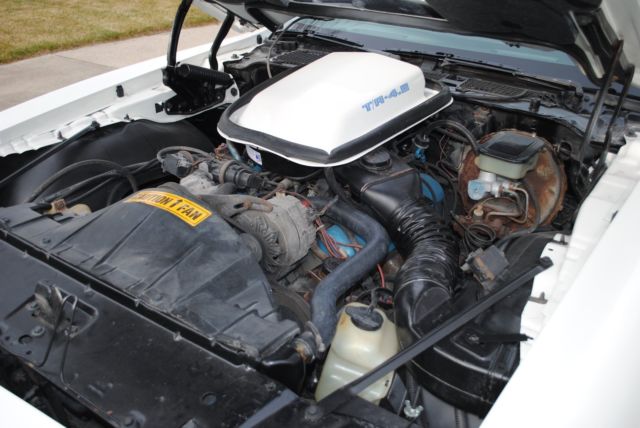 1981 Pontiac Firebird Coupe 2D