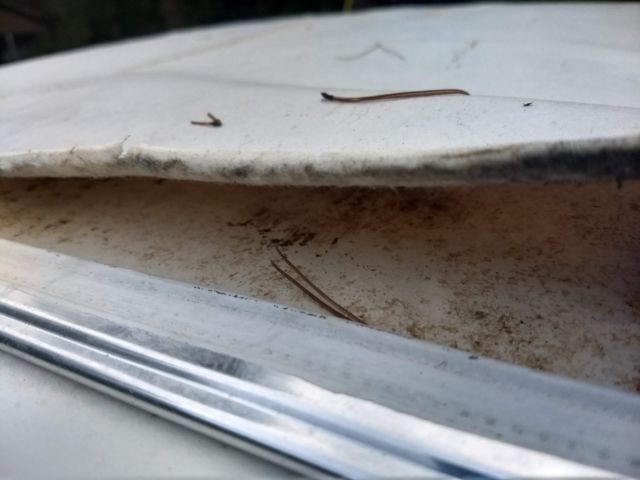 1973 White Dodge Charger Coupe