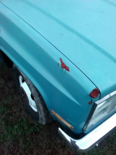 1985 Blue Chevrolet Other Pickups Standard Cab Pickup