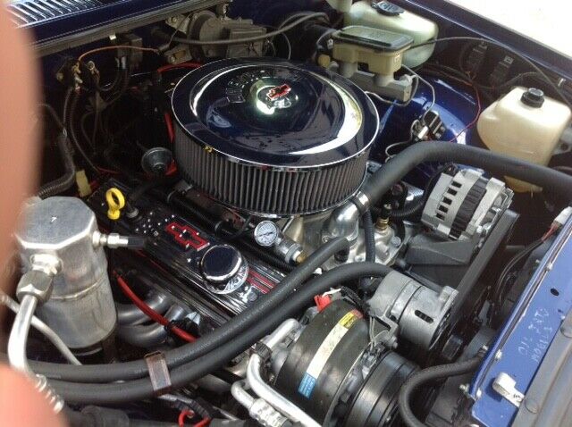 1986 Blue Chevrolet S-10 Standard Cab Pickup