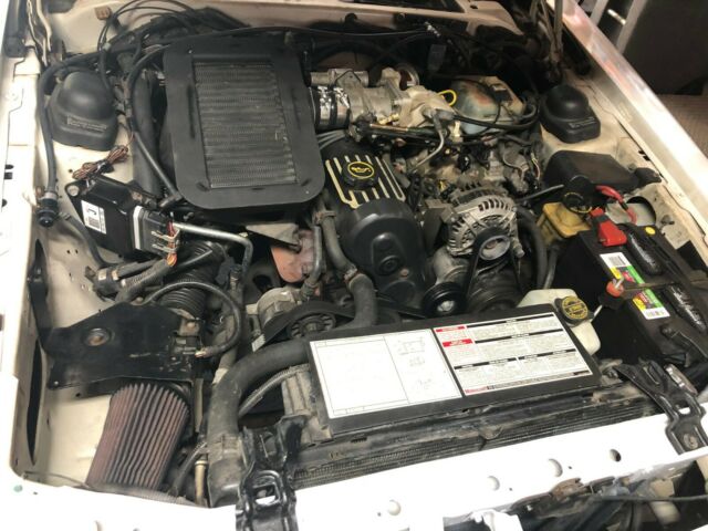 1988 White Ford Thunderbird Coupe