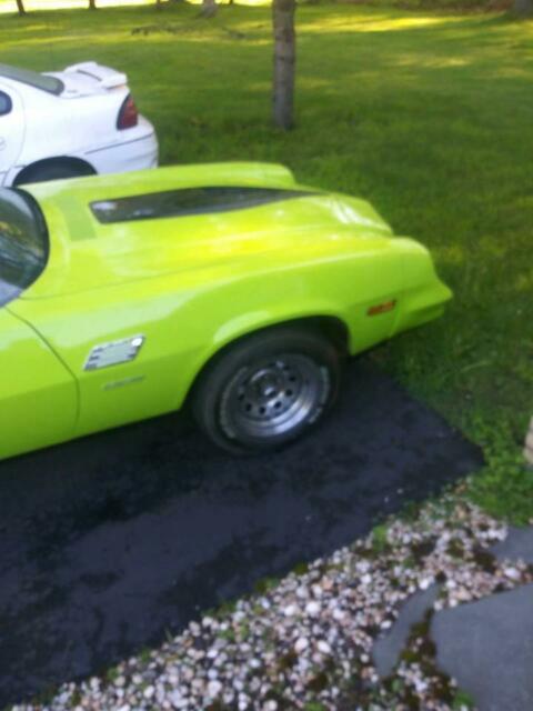 1981 Green Chevrolet Camaro Coupe