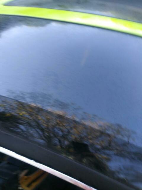 1981 Green Chevrolet Camaro Coupe