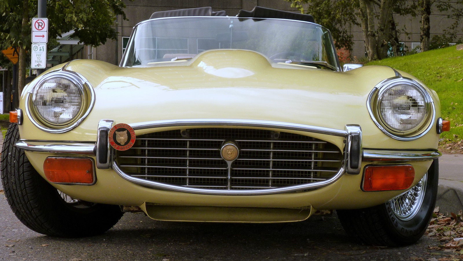 1972 Primrose Jaguar E-Type