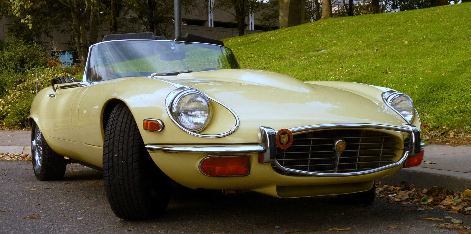 1972 Primrose Jaguar E-Type