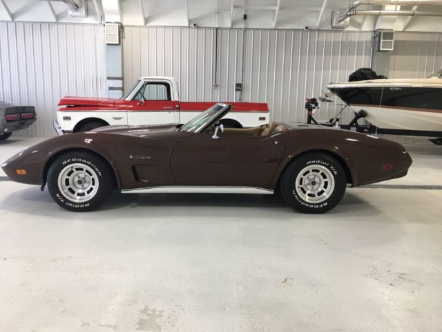 1974 DARK BROWN Chevrolet Corvette Convertible