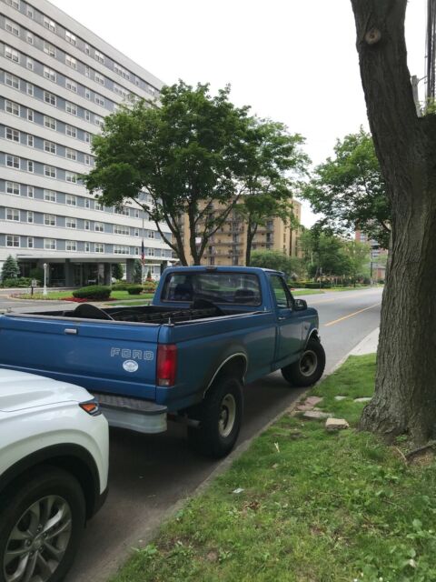 1993 Blue Ford F-150 Standard Cab Pickup