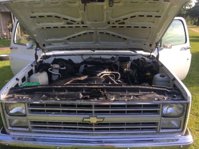 1986 White Chevrolet C-10 Standard Cab Pickup