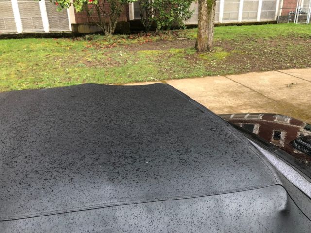 1988 Toyota Celica Convertible