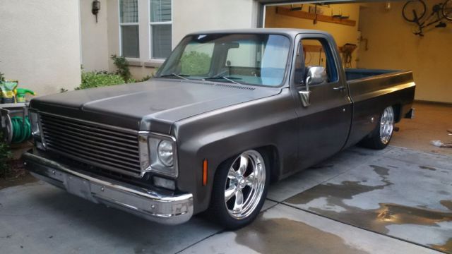 1976 Gray Chevrolet C-10 Standard Cab Pickup
