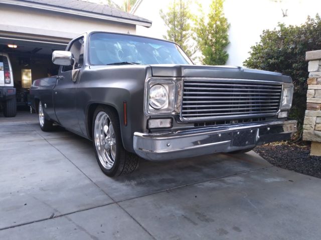 1976 Gray Chevrolet C-10 Standard Cab Pickup