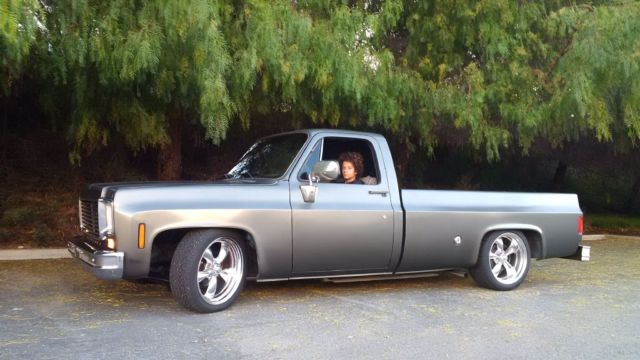 1976 Gray Chevrolet C-10 Standard Cab Pickup