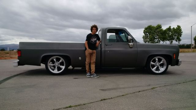 1976 Gray Chevrolet C-10 Standard Cab Pickup