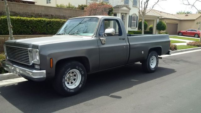 1976 Gray Chevrolet C-10 Standard Cab Pickup