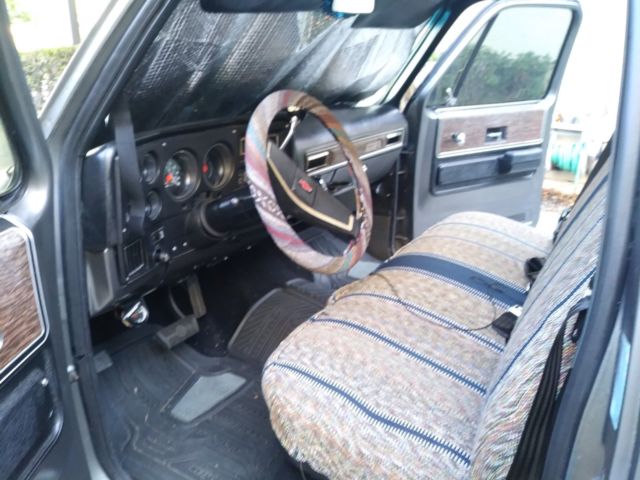 1976 Gray Chevrolet C-10 Standard Cab Pickup