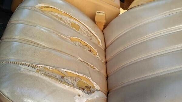 1985 Dodge Ramcharger