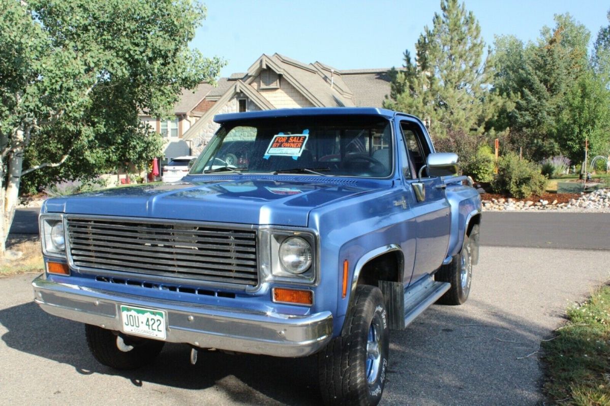 1975 Blue Chevrolet Other Pickups Standard Cab Pickup