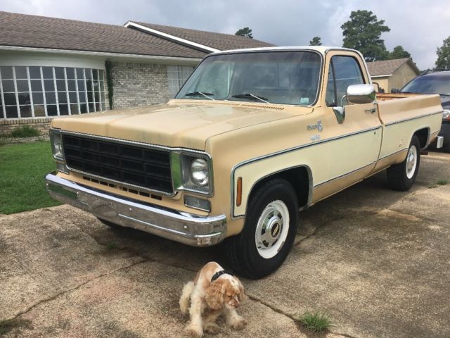 1978 Tan Chevrolet C-10 Lwb