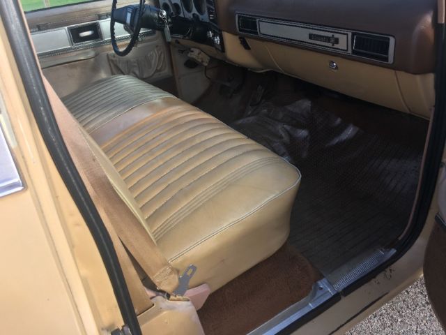 1978 Tan Chevrolet C-10 Lwb