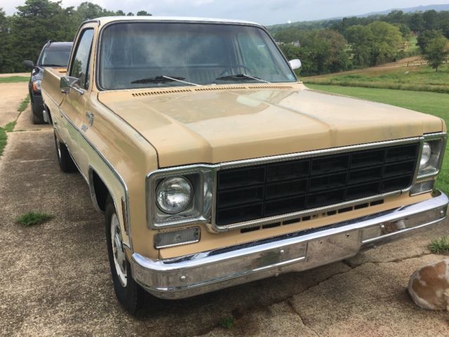 1978 Tan Chevrolet C-10 Lwb