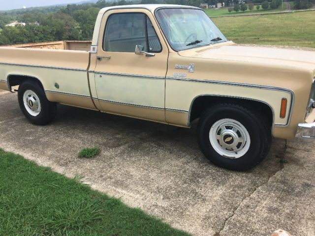 1978 Tan Chevrolet C-10 Lwb